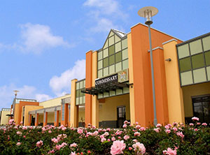 Photo of a modern Commissary at Grafenwoehr, Germany, circa 2007.