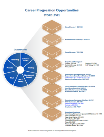 An infographic explaining the career progression of a Commissary employee