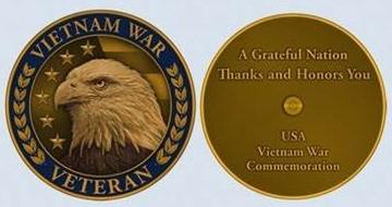 Vietnam War veteran lapel pin
