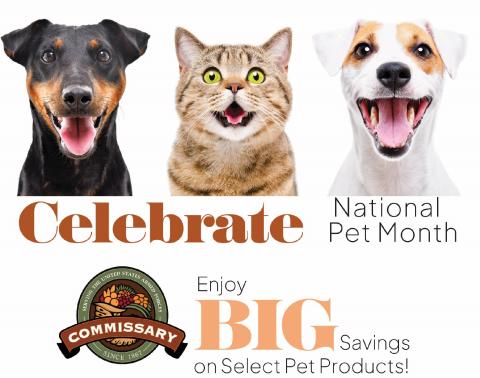 National Pet Month